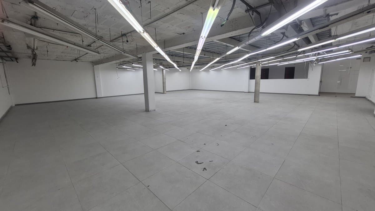 Bodega - Foto 14