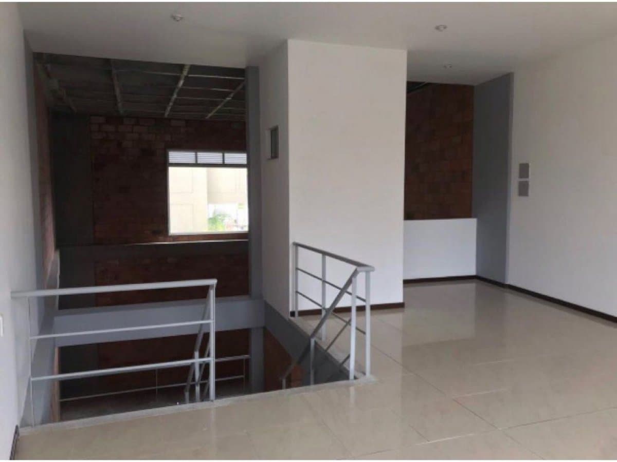 Bodega - Foto 2