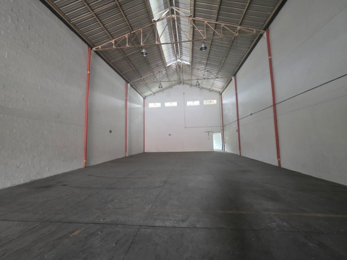 Bodega - Foto 6