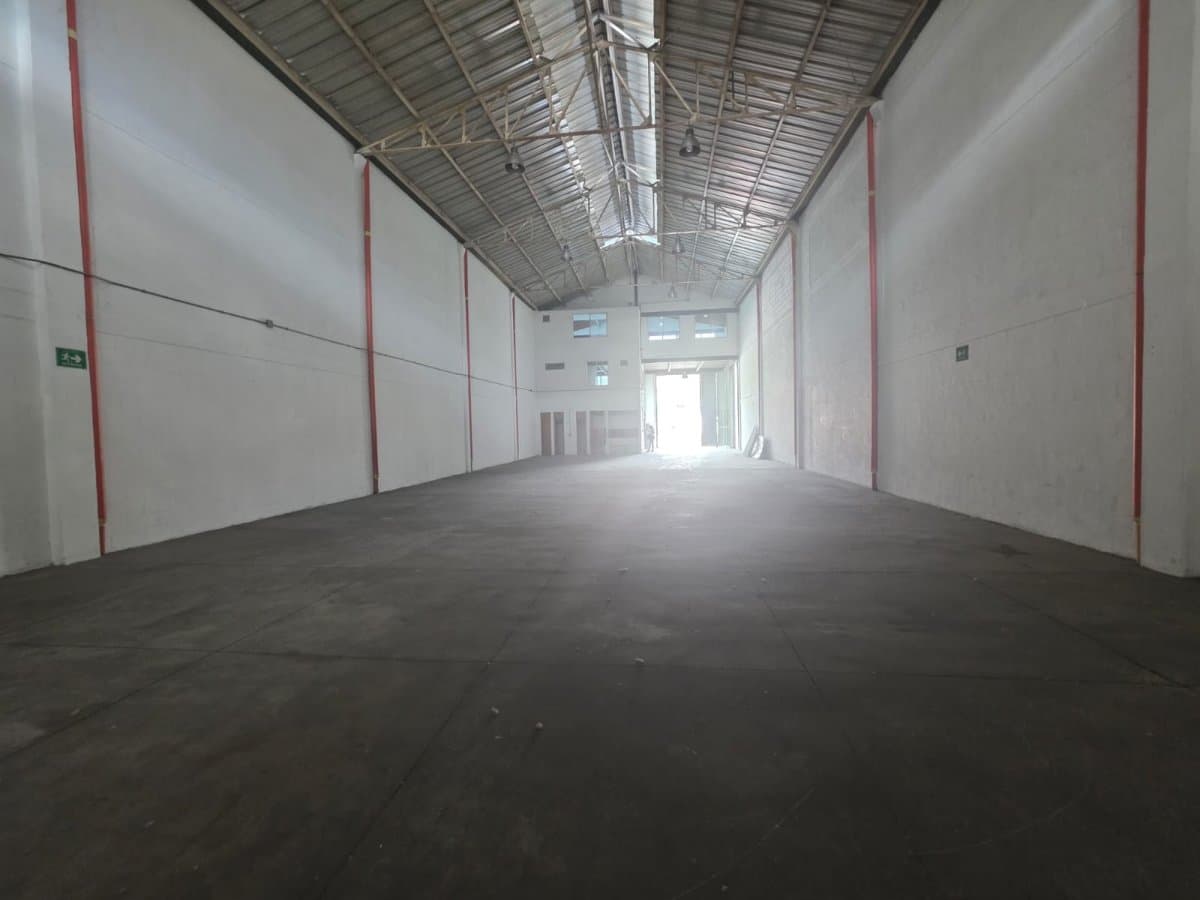 Bodega - Foto 4
