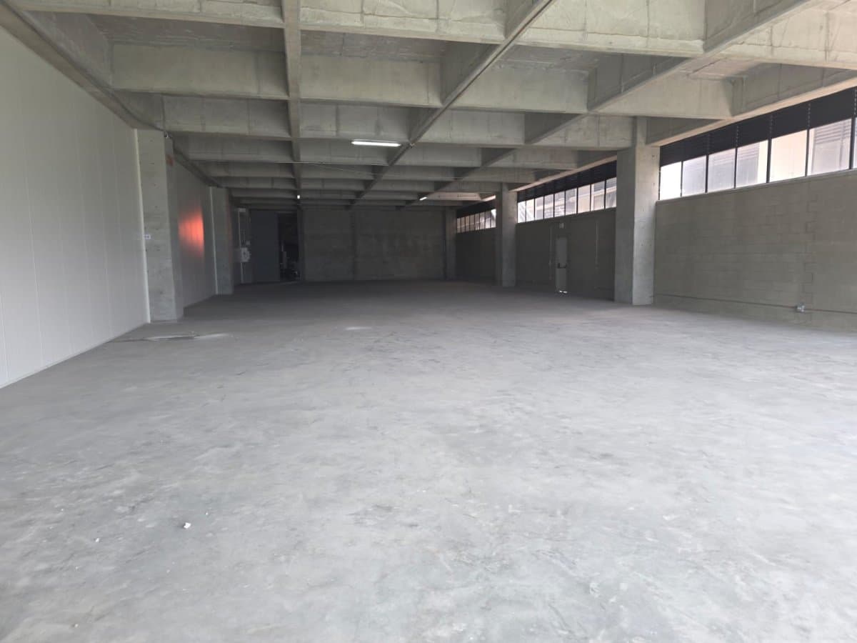 Bodega - Foto 12