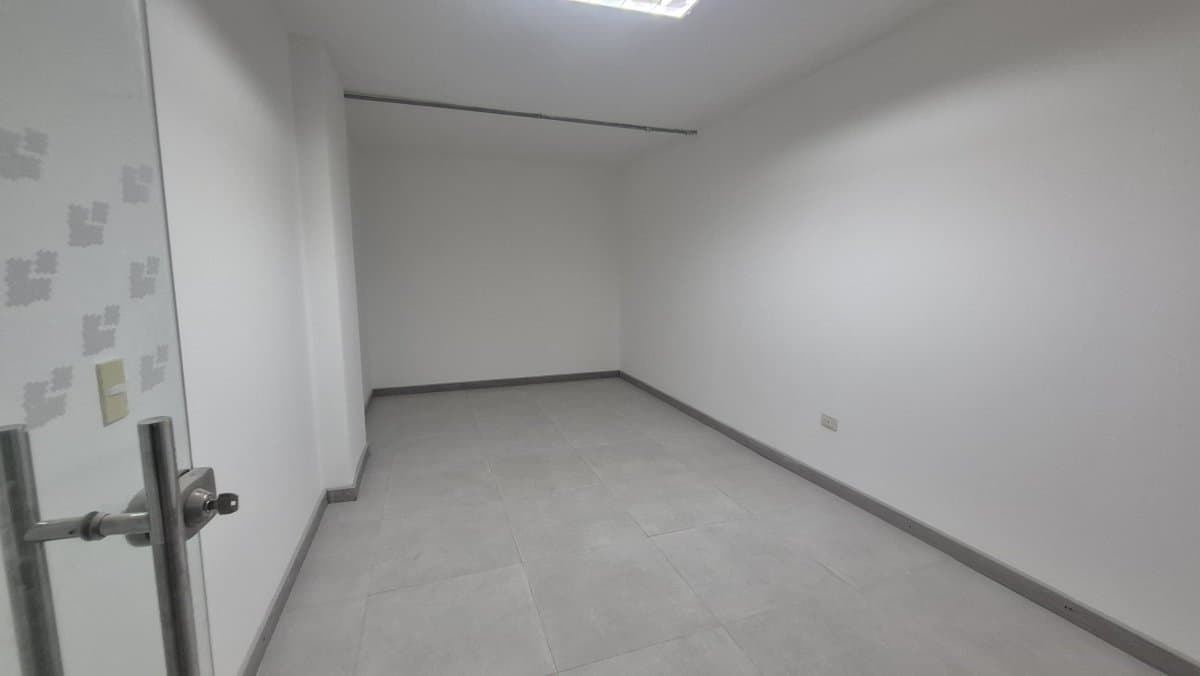 Bodega - Foto 3