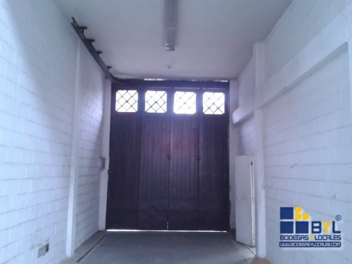 Bodega - Foto 10