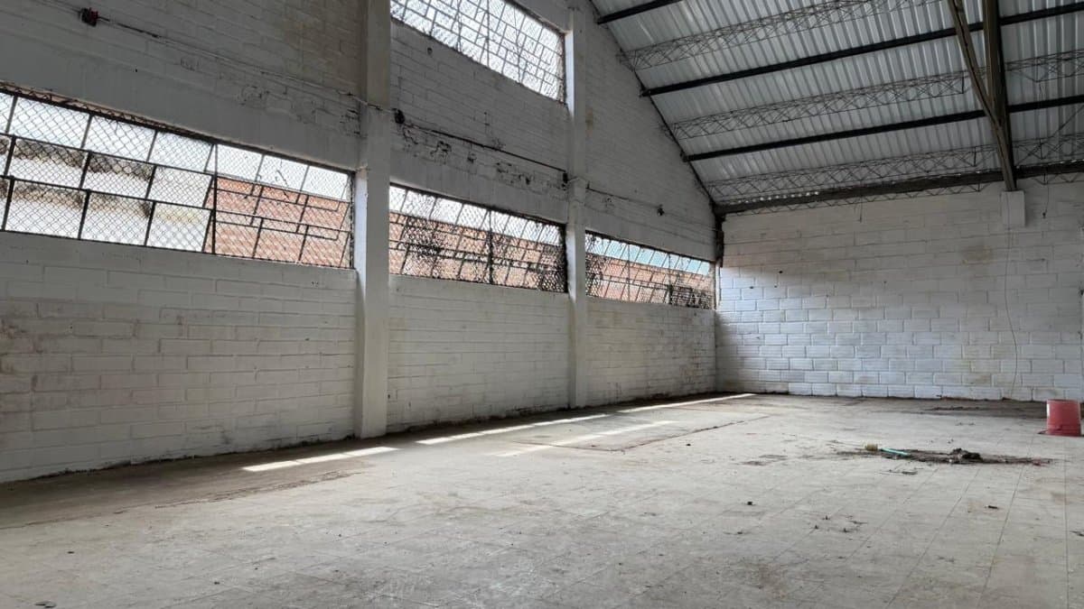 Bodega - Foto 7