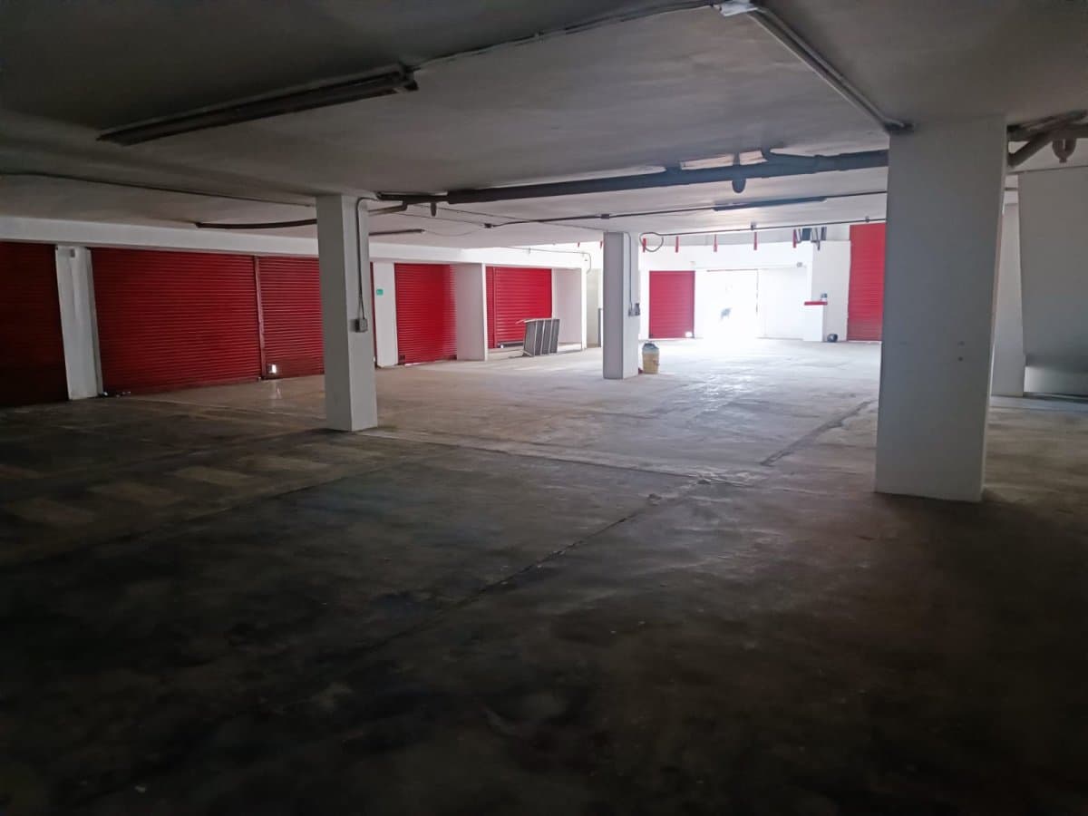 Bodega - Foto 12