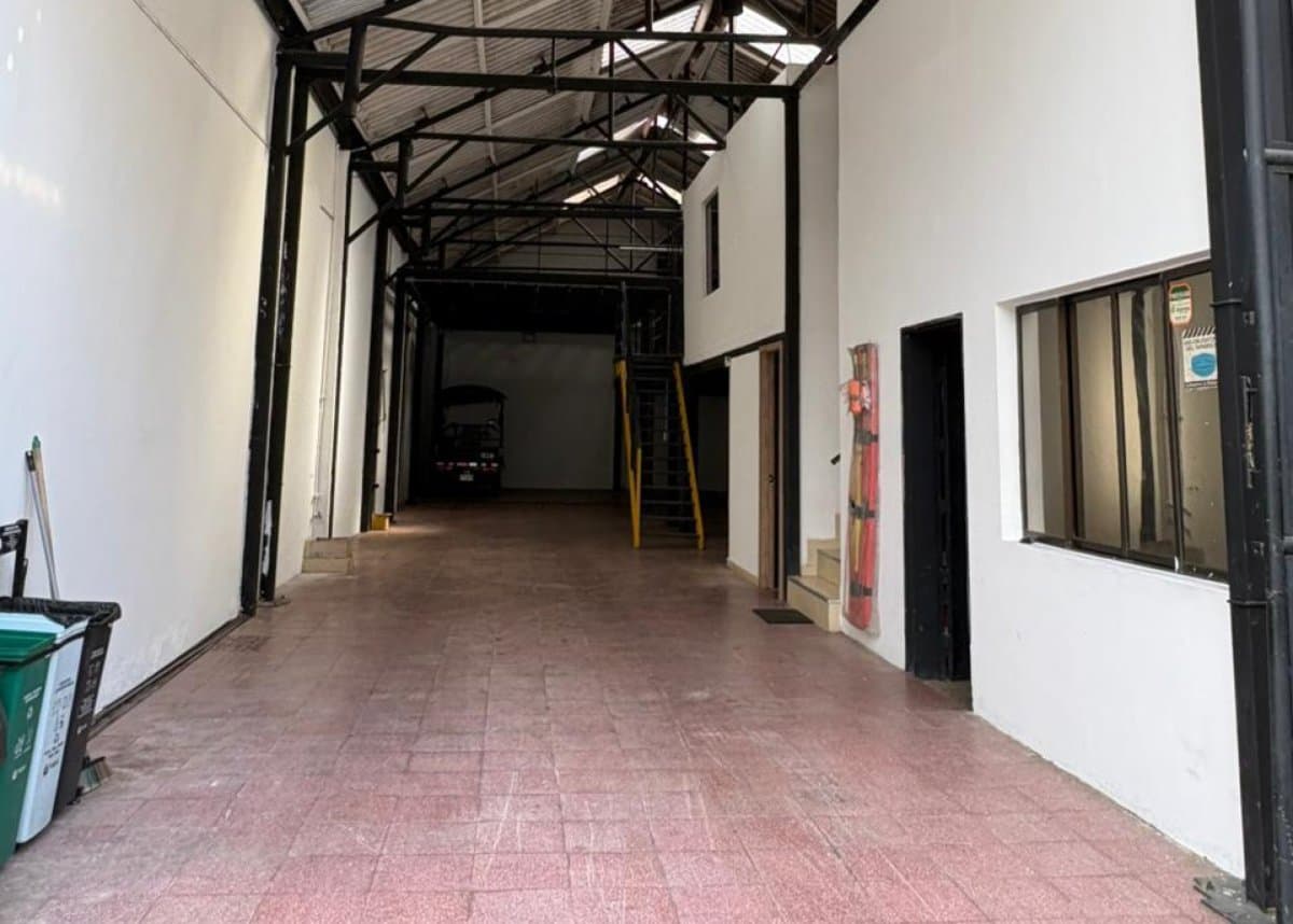 Bodega - Foto 4