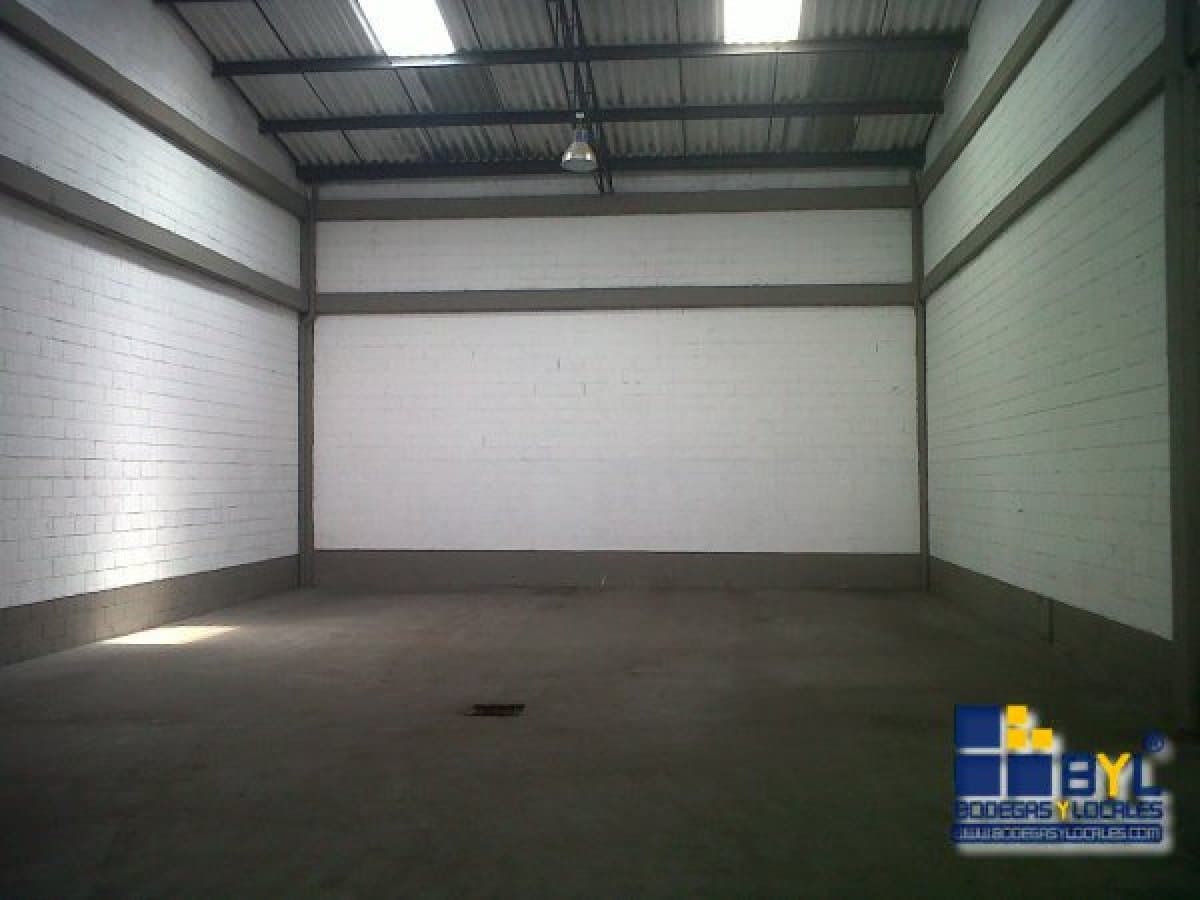 Bodega - Foto 4