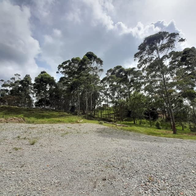 Lote en Autop Med-Bog