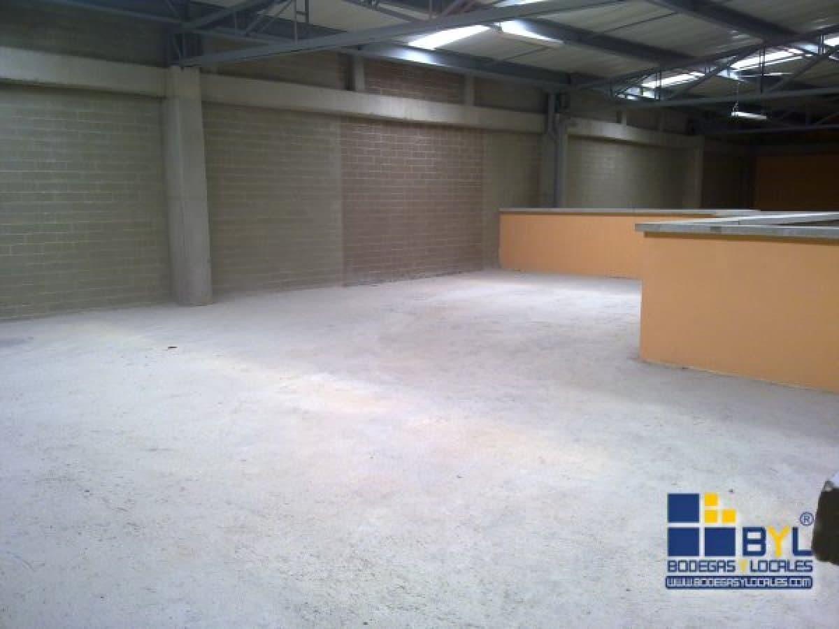 Bodega - Foto 4