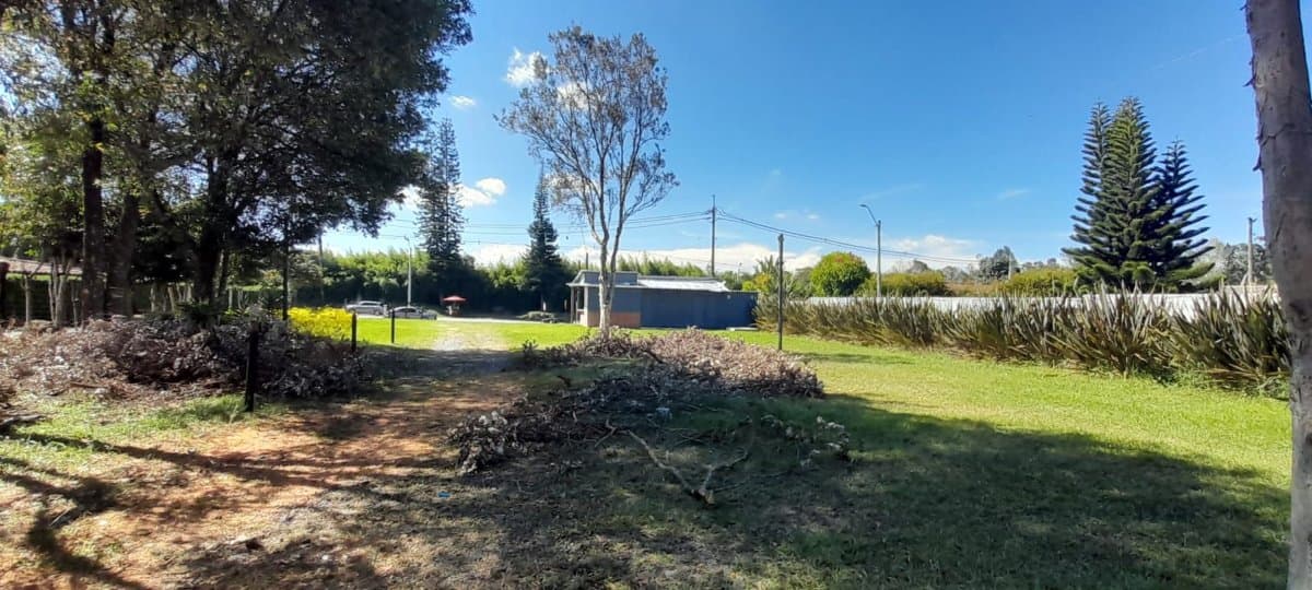 Lote - Foto 7