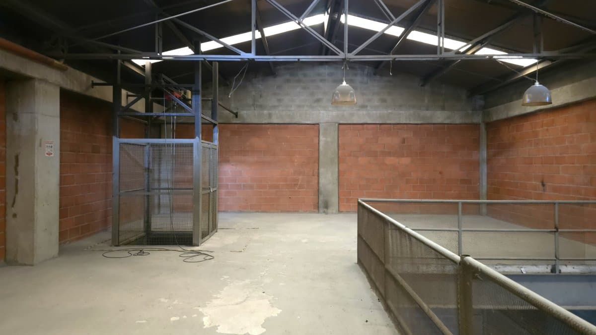 Bodega - Foto 10