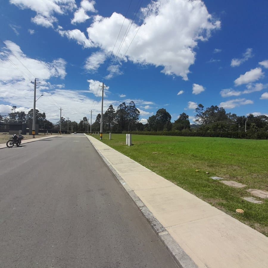 Lote - Foto 4