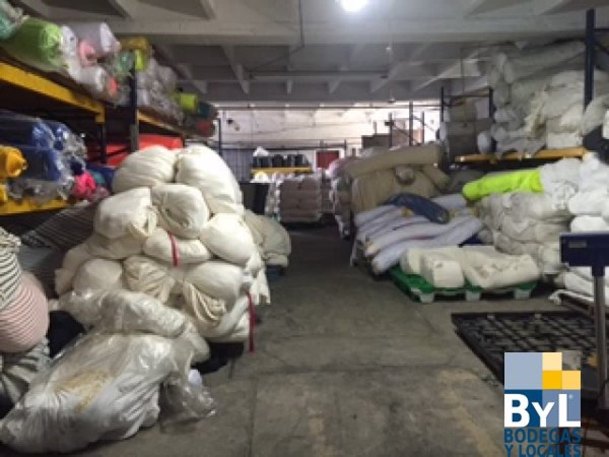Bodega - Foto 10