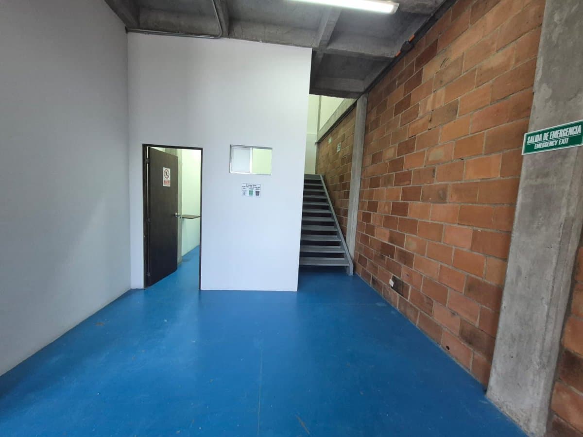 Bodega - Foto 9