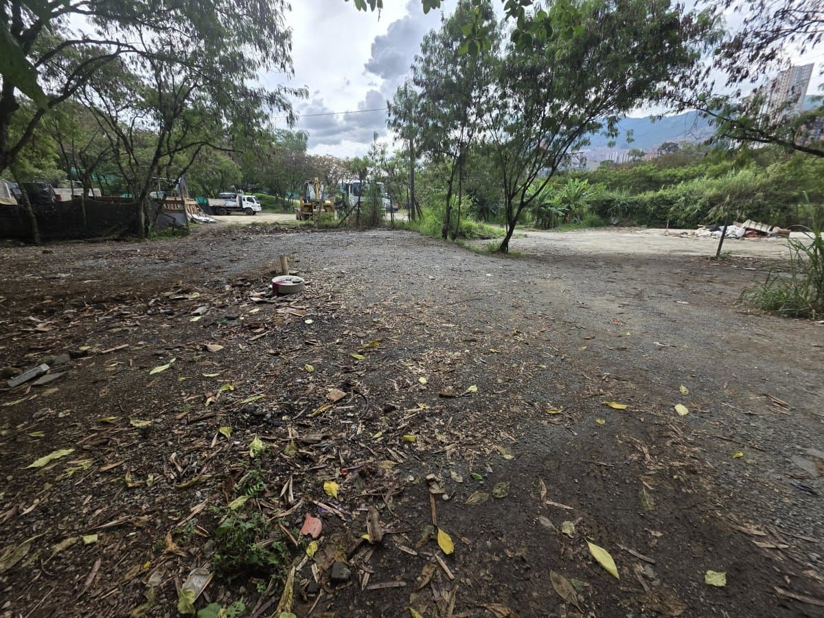 Lote - Foto 18