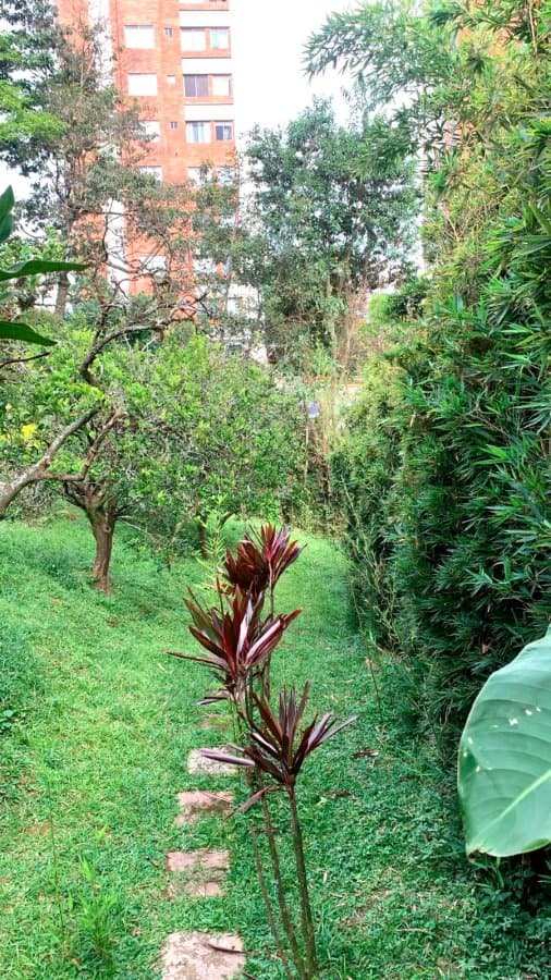 Lote - Foto 17