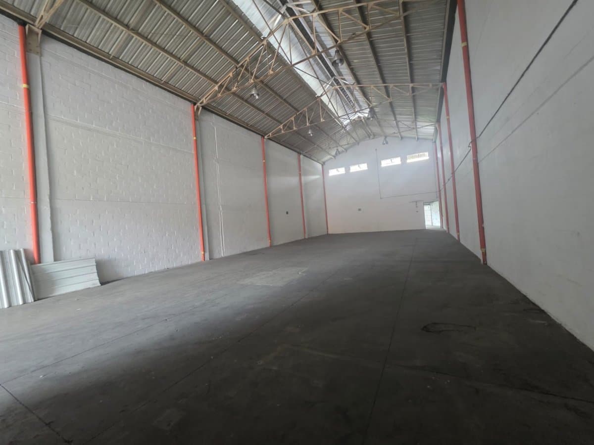 Bodega - Foto 2