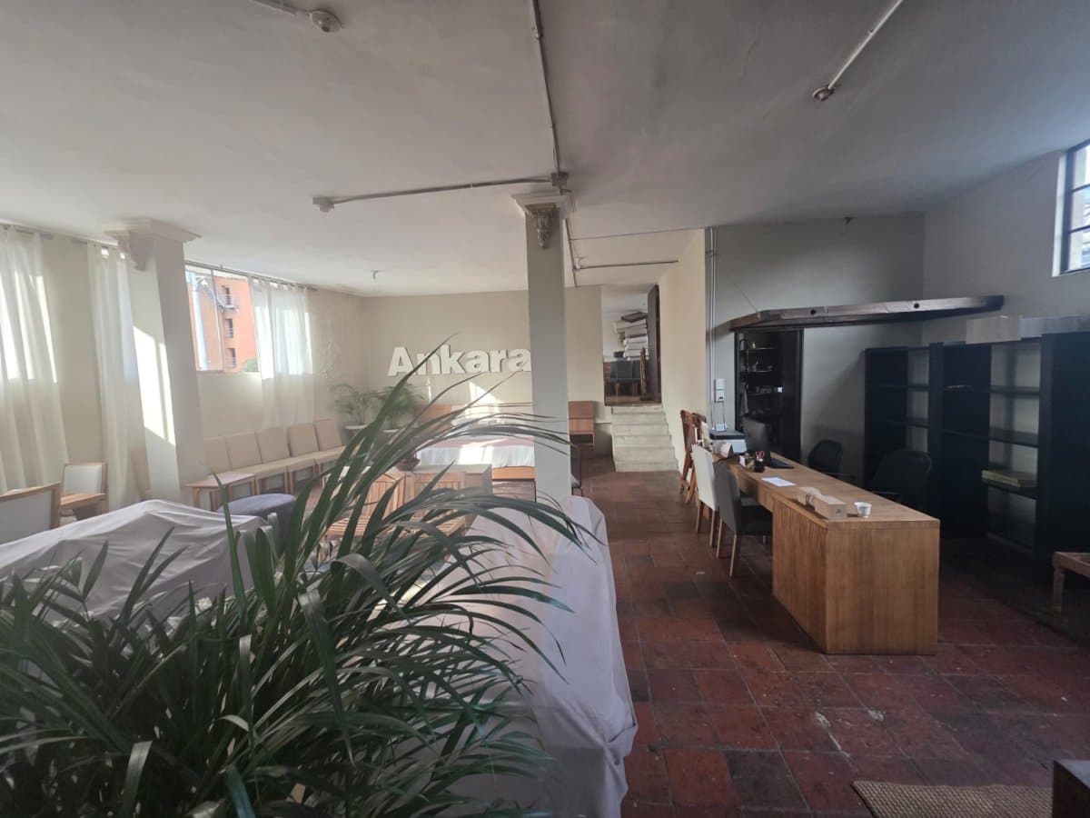 Bodega - Foto 5