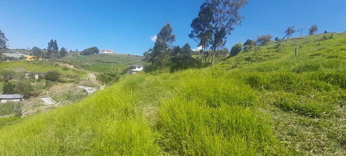 Lote - Foto 10
