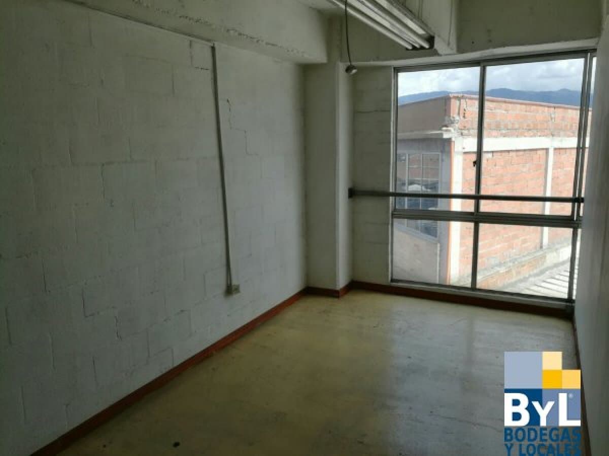 Bodega - Foto 4
