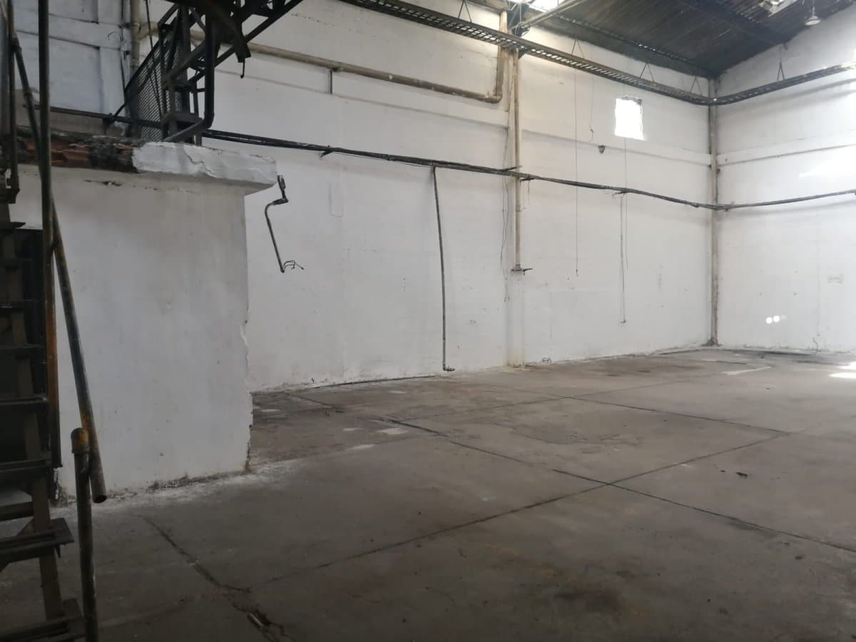 Bodega - Foto 7