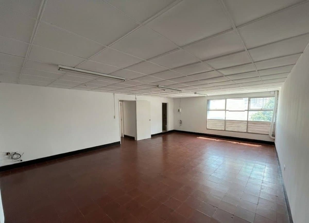 Bodega - Foto 5