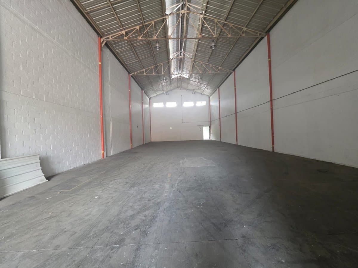 Bodega - Foto 3