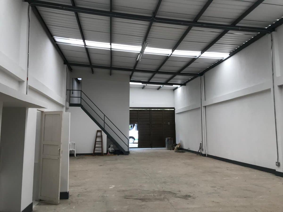 Bodega - Foto 4