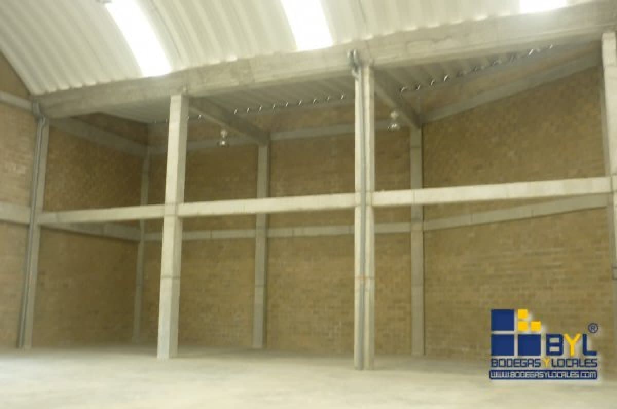 Bodega - Foto 2