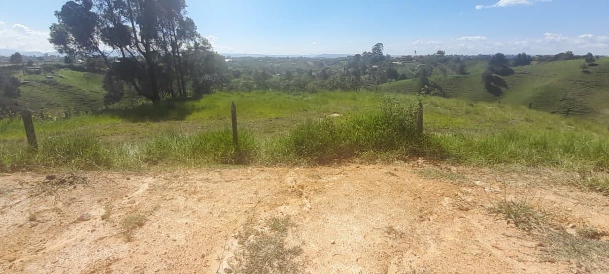 Lote - Foto 19