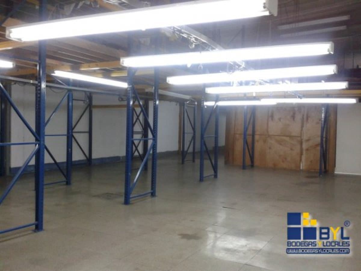 Bodega - Foto 2