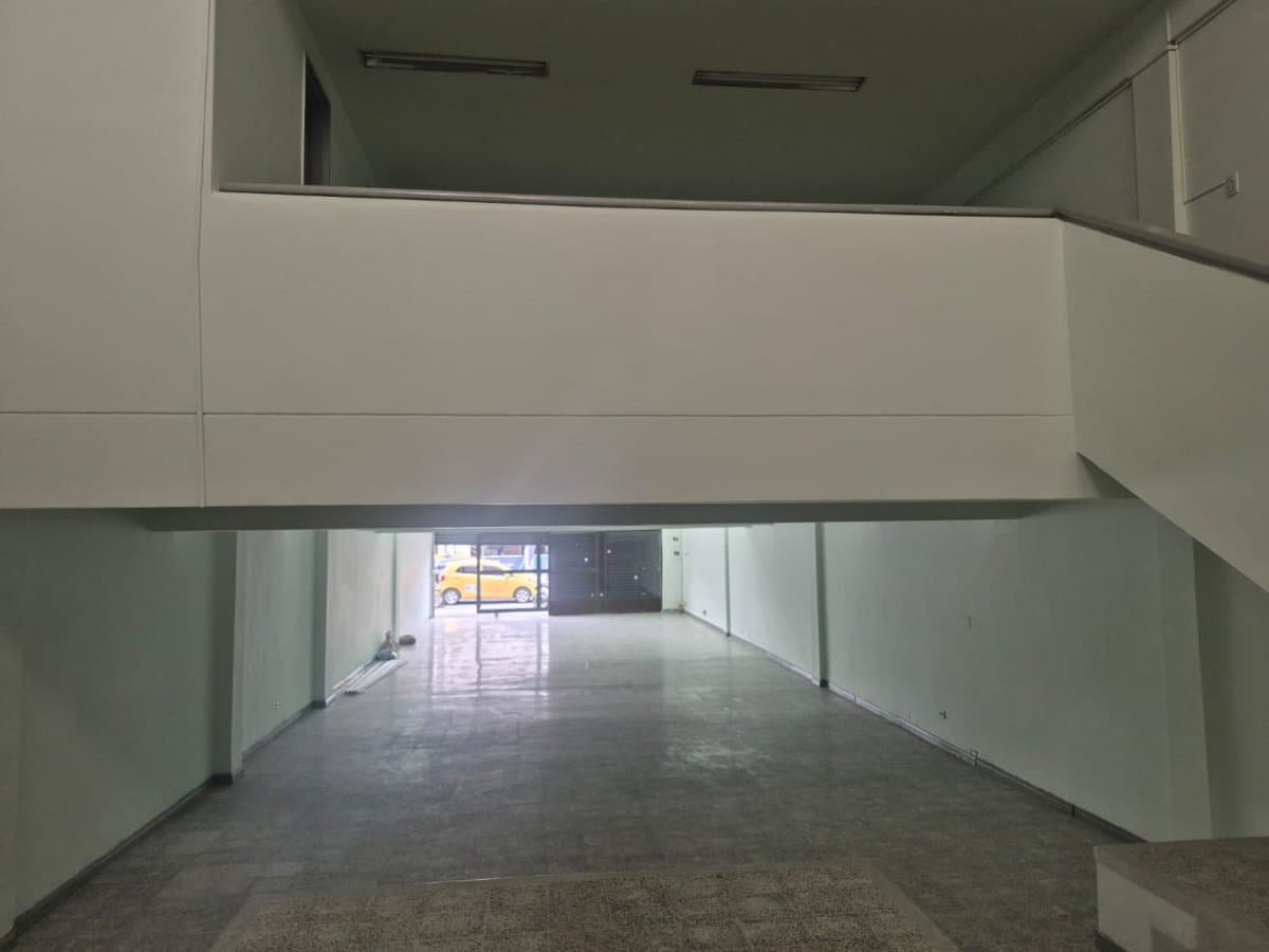 Bodega - Foto 6