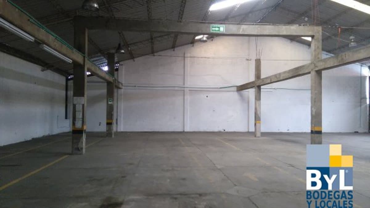 Bodega - Foto 2