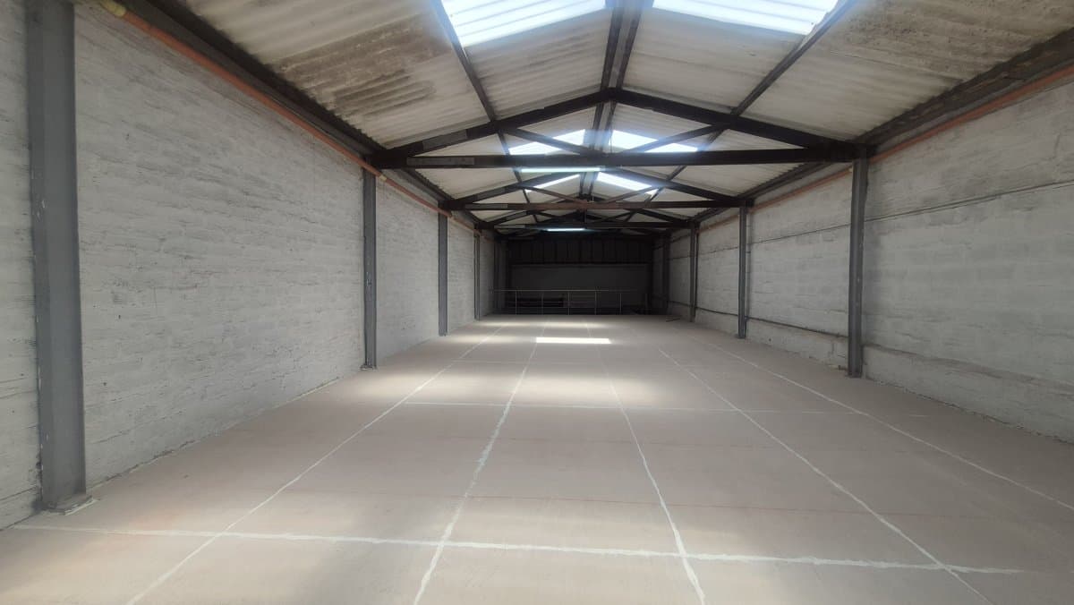 Bodega - Foto 11