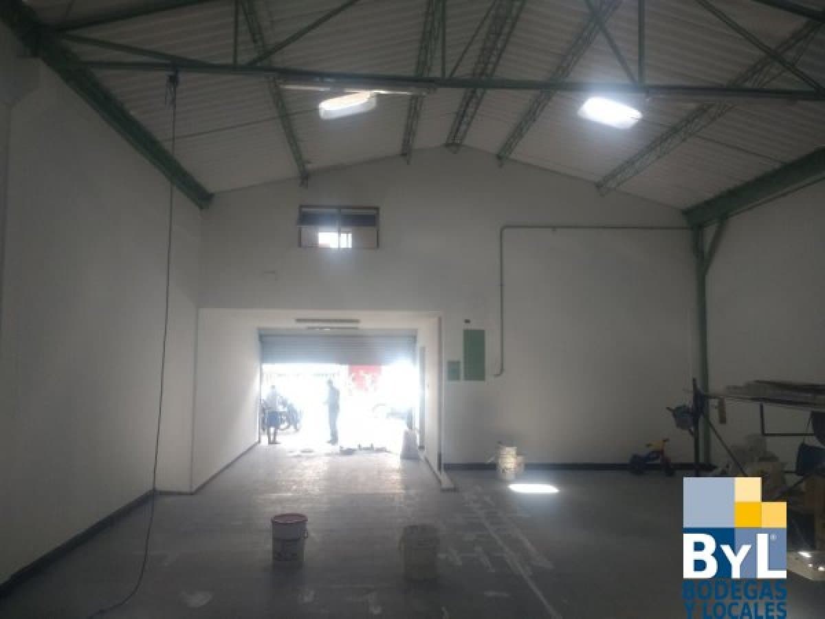 Bodega - Foto 7