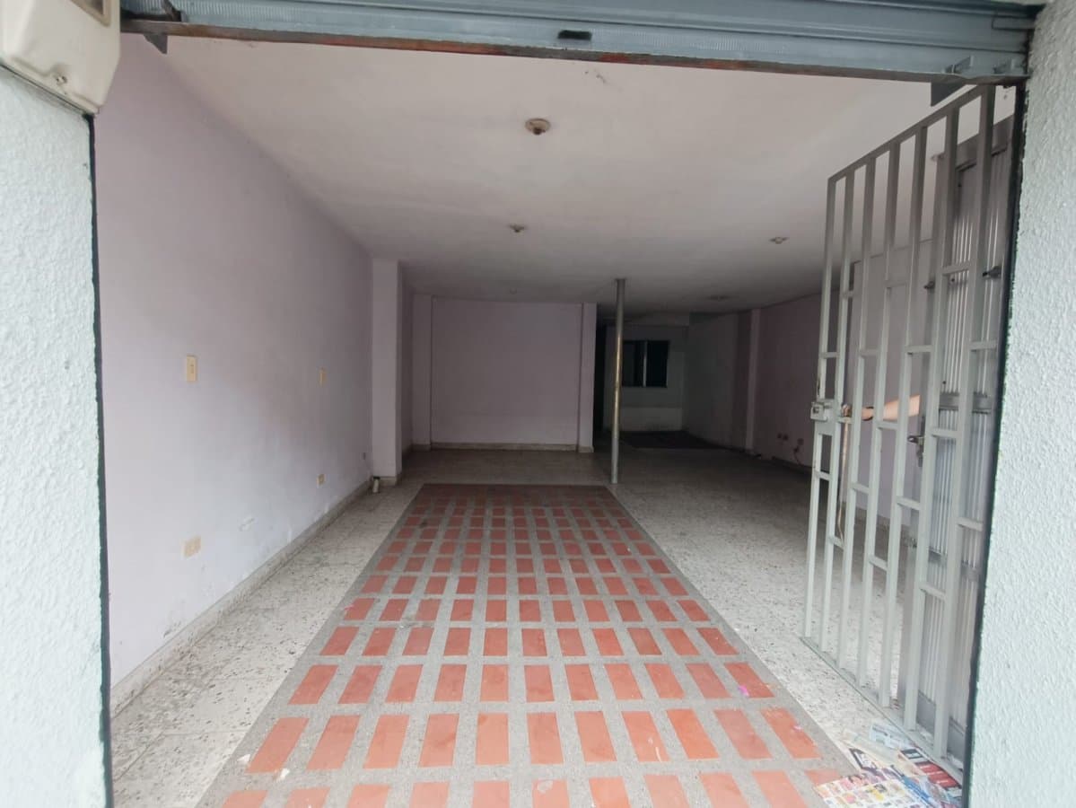 Bodega - Foto 6