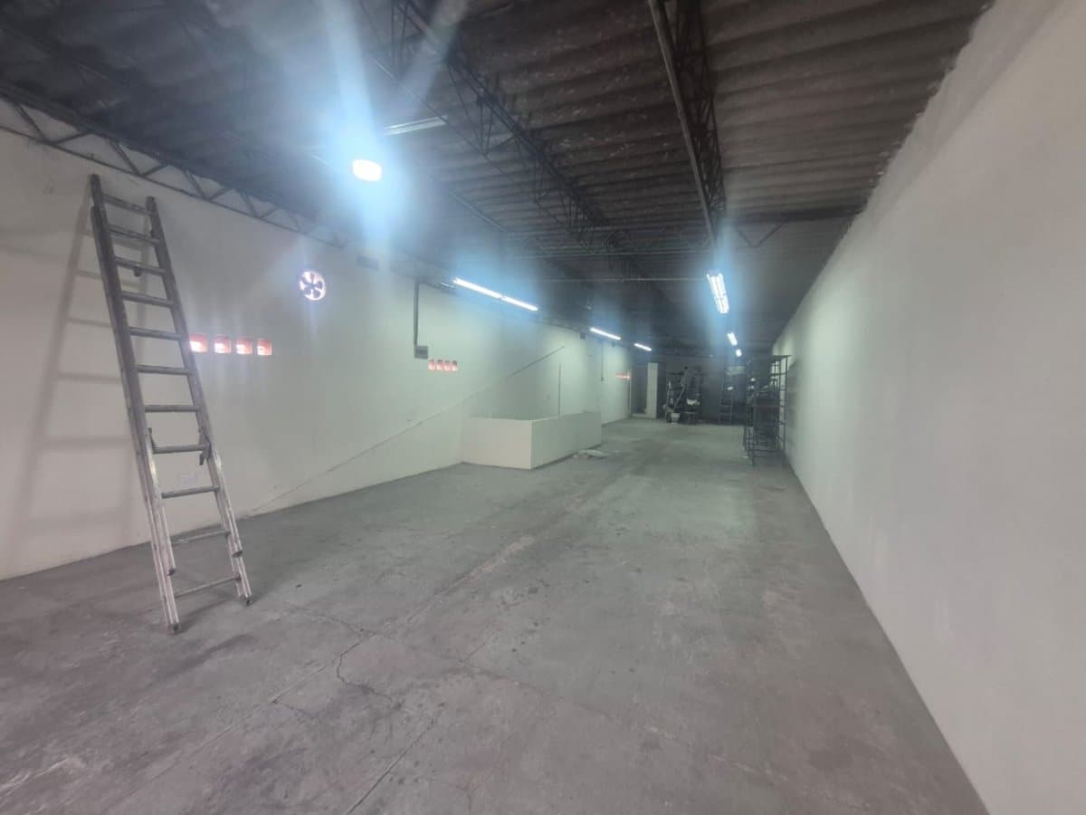 Bodega - Foto 3