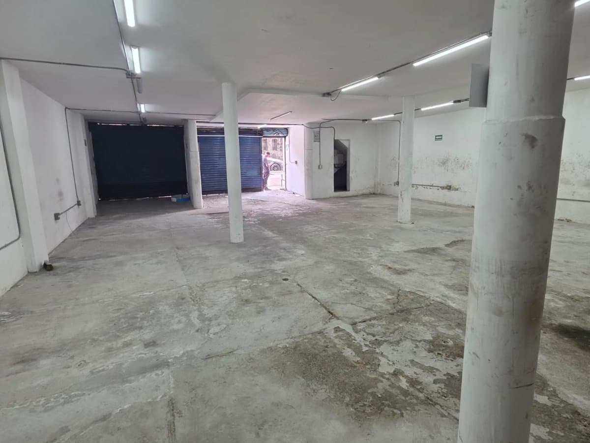 Bodega - Foto 5