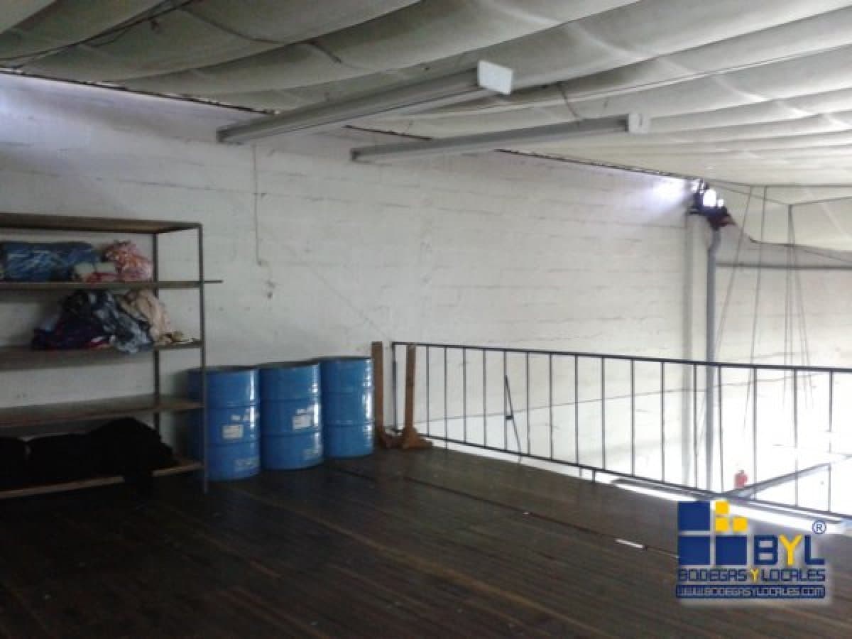 Bodega - Foto 14
