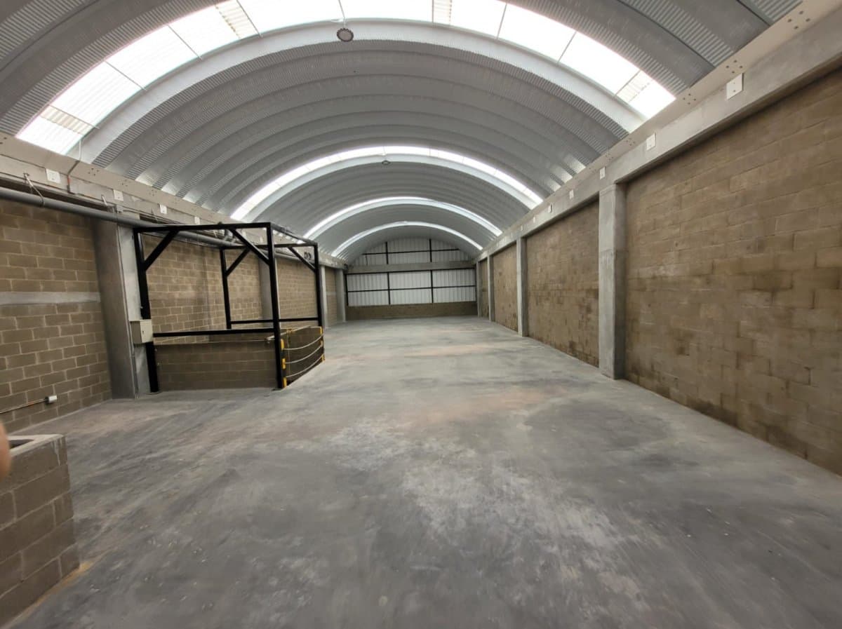 Bodega - Foto 4