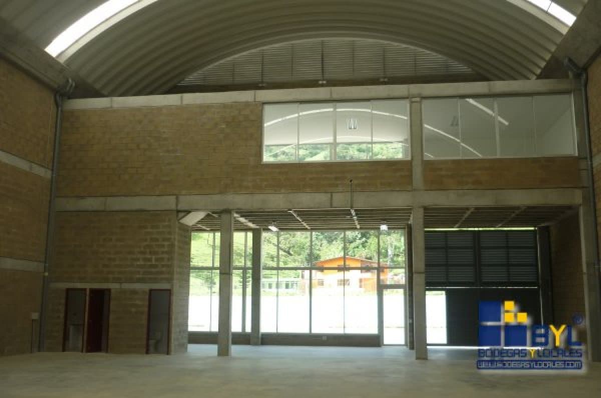 Bodega - Foto 4
