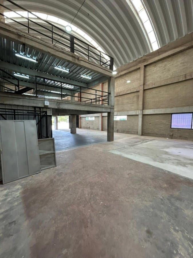 Bodega - Foto 3