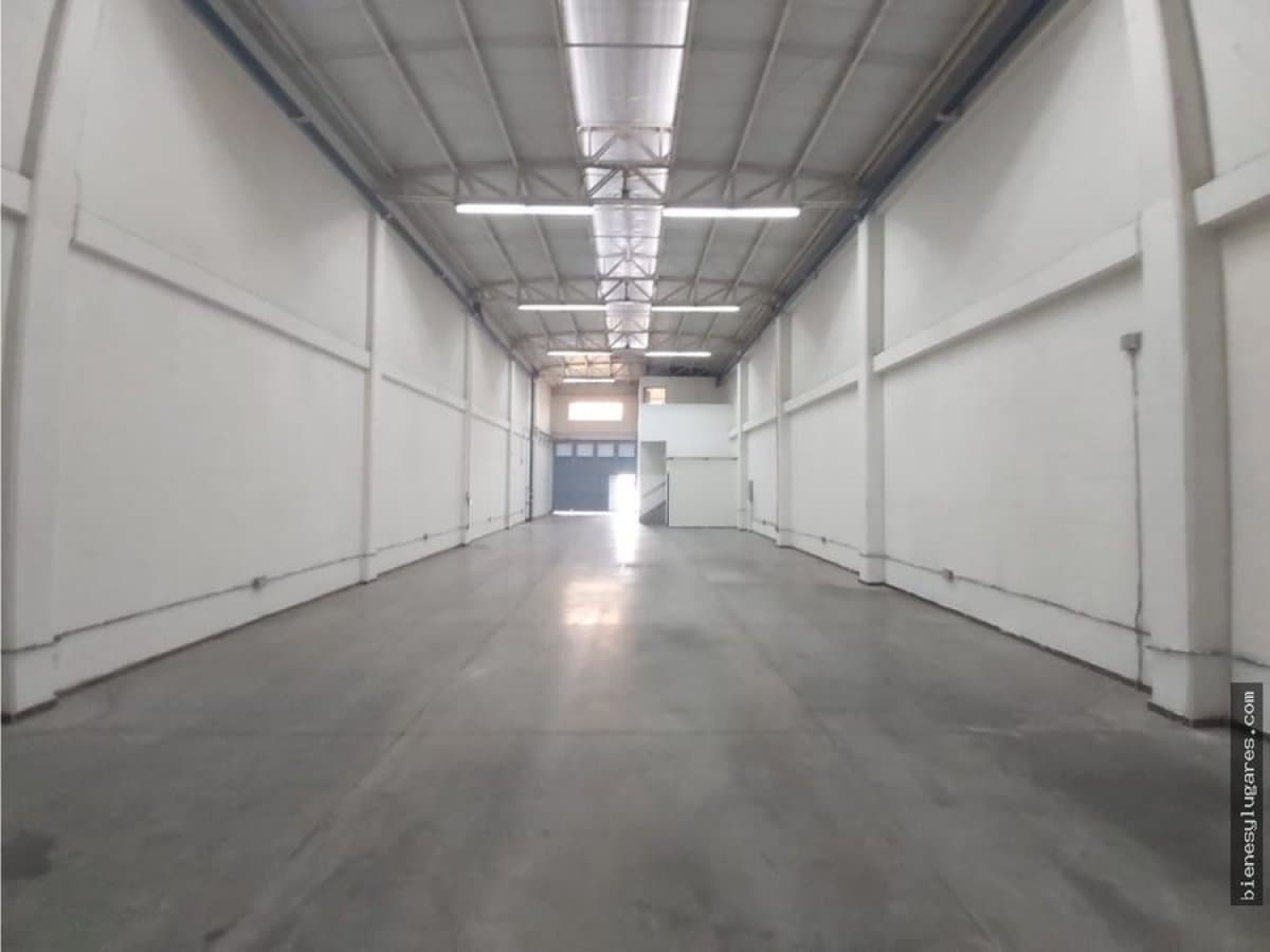 Bodega - Foto 4