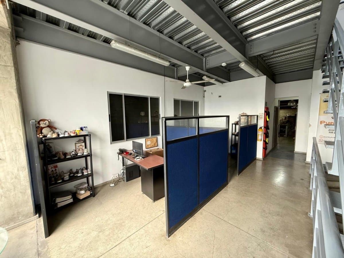 Bodega - Foto 13