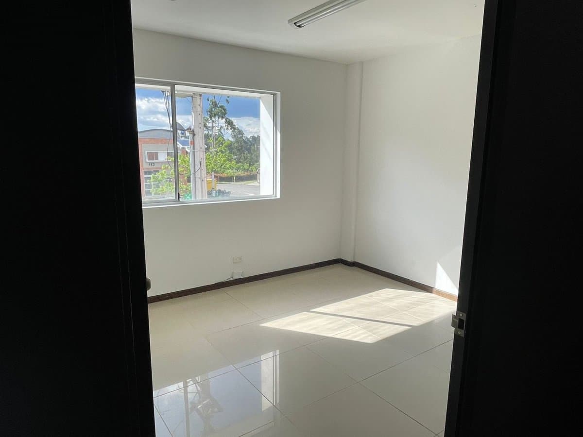 Bodega - Foto 2