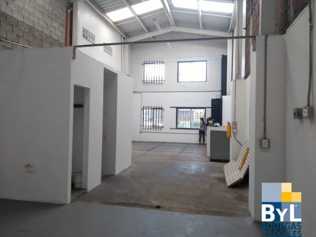 Bodega - Foto 4