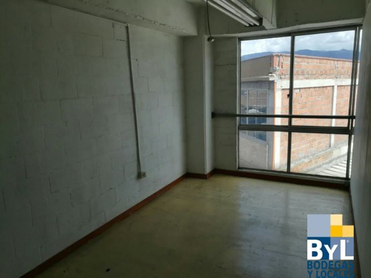 Bodega - Foto 3