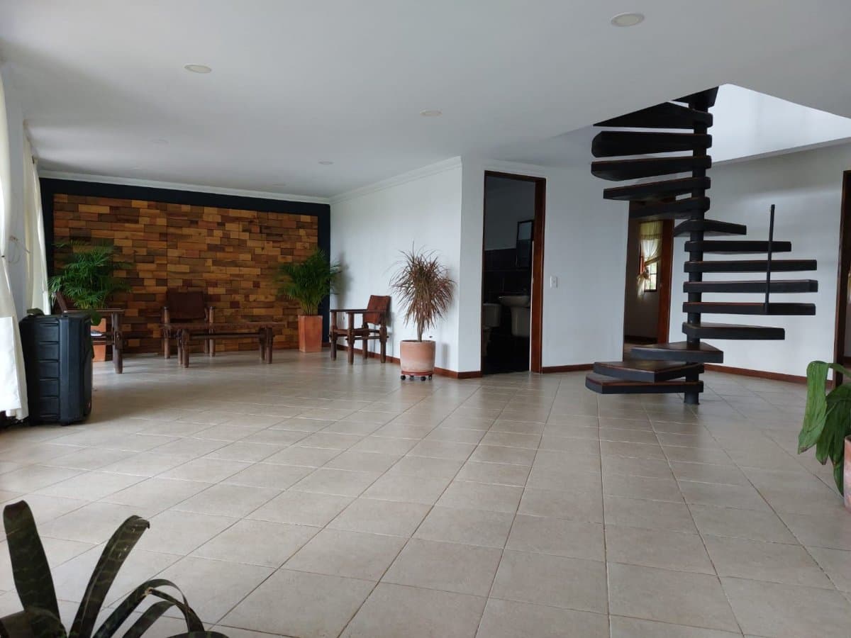 Lote - Foto 16