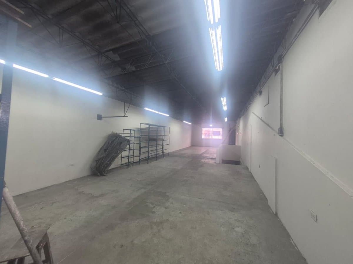 Bodega - Foto 2
