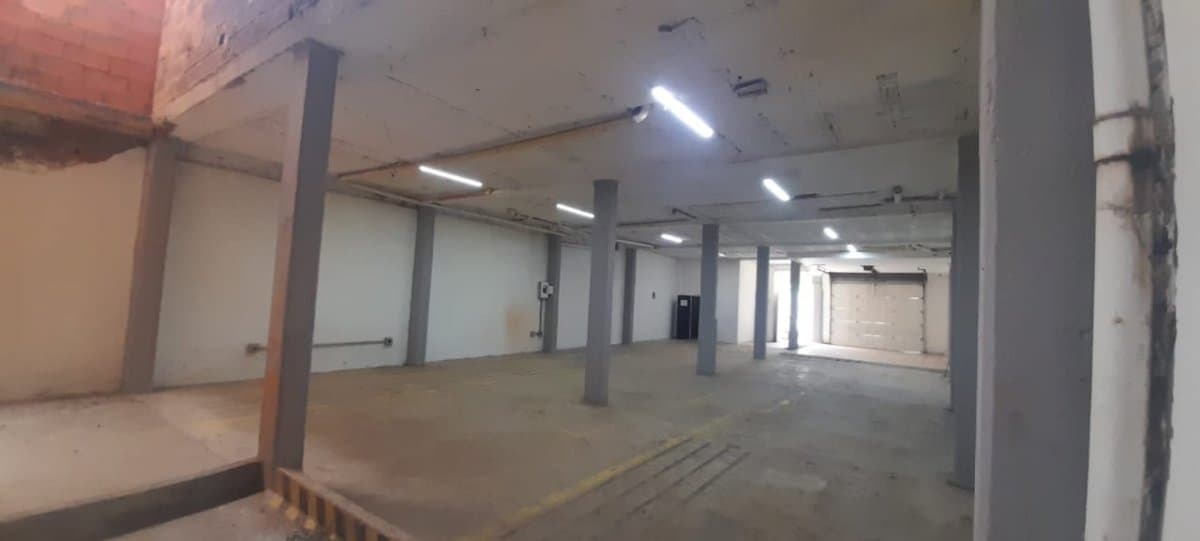 Bodega - Foto 5